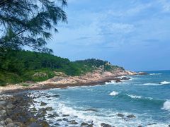 -广东惠东海龟国家级自然保护区