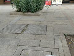 -小八仙·宴(三峡茶庄店)