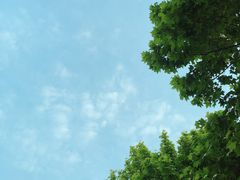 -晓庄学院-食堂