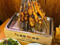 -福苗小骆驼烧烤(莲湖路店)