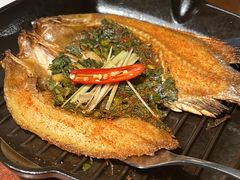 -雀舞云南菜(天津天河城购物中心店)