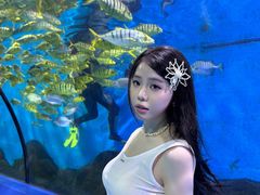 -重庆欢乐海底世界