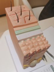 点击看大图 -SKIN79皮肤管理中心