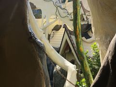 -疯狂屋