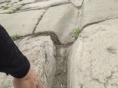 -赵州桥景区