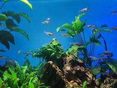 -太平洋海底世界