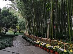-上海醉白池公园