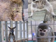 -水上乐园·欢乐世界