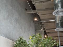 -喜茶(珠海华发商都店)