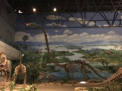 -自贡恐龙博物馆