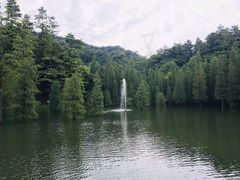 -广州市帽峰山景区