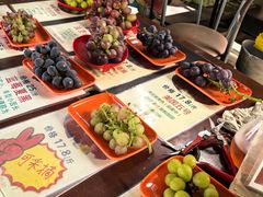 -马陆小张葡萄园农家乐