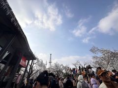 -紫金山山顶公园