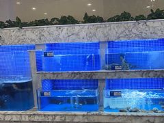 -香山湖渔家大院