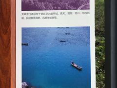 -东山珍珠岛