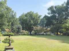 -申粤轩·手工点心·金牌烧味·经典粤菜(丁香花园店)