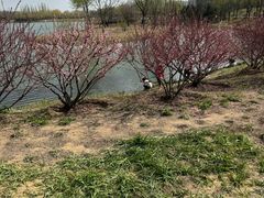 -东郊湿地公园
