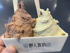 -野人牧坊Gelato(天津南开大悦城店)
