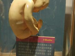 -香港科学馆