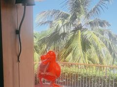 -日落吧·海景咖啡厅·餐酒吧·鸡尾酒·下午茶·乐队表演·浪漫夕阳·三亚文华东方酒店