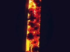 -花马天堂云南餐厅 Lost Heaven(高邮路店)