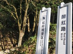 -广州市石门国家森林公园