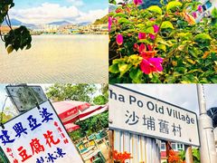 -南丫岛