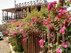 -南京市无想山景区