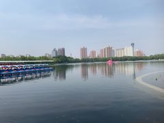 -莲花池公园