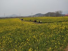-西海岸生态观光园
