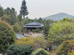 -穹窿山景区