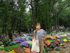 -洛阳白云山景区