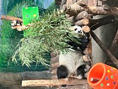 -青藏高原野生动物园