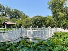 -莲湖公园