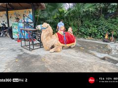 -深圳野生动物园