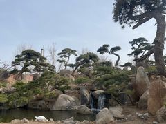 -罗红摄影艺术馆