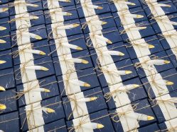 -卡卡喜糖伴手礼·商务礼宝宝礼·婚礼用品