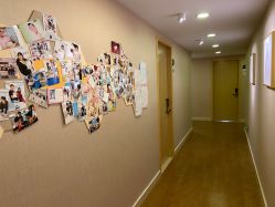 -海豚湾高端月子会所(黄浦店)