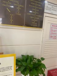 -深圳阳光医疗美容医院·旗舰店