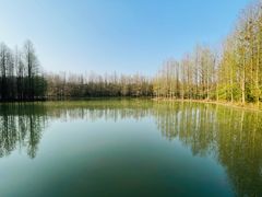 -上海海湾国家森林公园