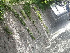 android_upload_pic-八大关景区