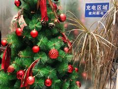 -莓超疯(浦西万达店)
