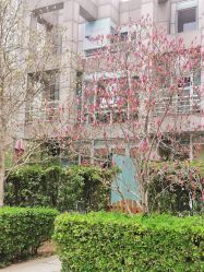点击看大图 -奈瑞儿美养院