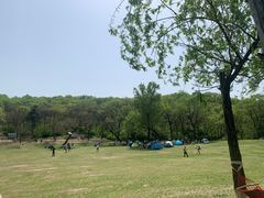 -高尔山公园