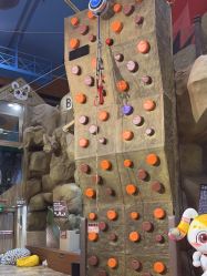 -卡通尼·Safari非洲探索乐园·生日会(金桥国际商业广场店)