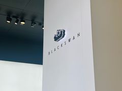 -BLACKSWAN黑天鹅(环球店)