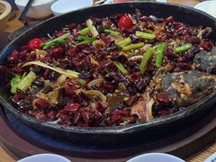 -老板恋上鱼(恒隆广场店)