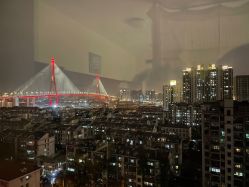 -复旦大学附属妇产科医院(杨浦院区)