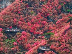 -木兰云雾山