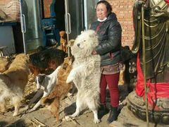 -好利来(桂林路店)